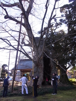 20151218_011