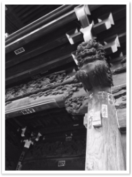 image11