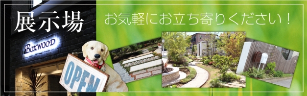 Ÿ���졡�����ڤˤ�Ω����꤯��������