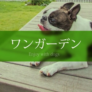 ��󥬡��ǥ�