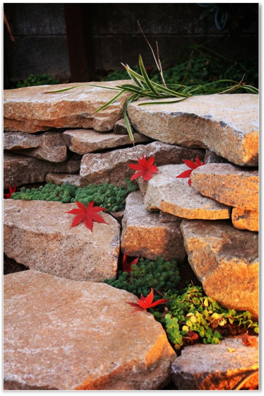 ¥¤¥·¥Ë¥ï ¥¤¥·¥Ë¥ï