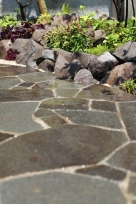 �����˥�