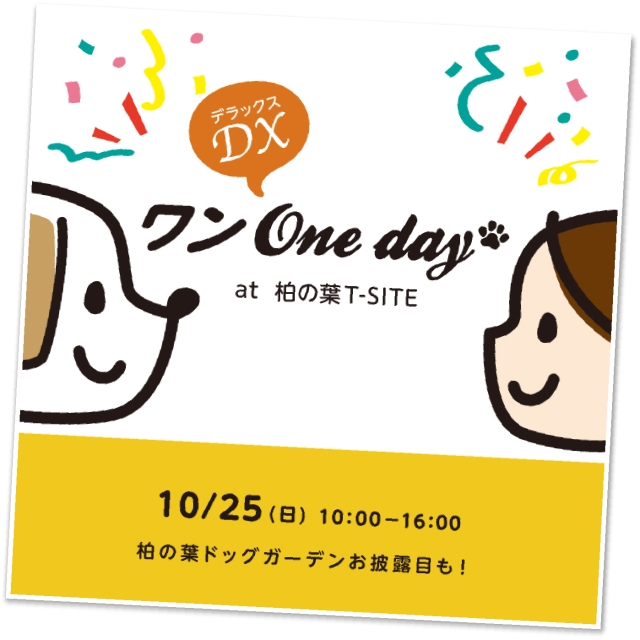 OnedayDX