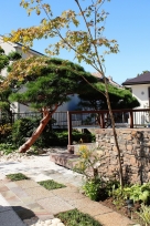 �ͱ��С������Ѥ�