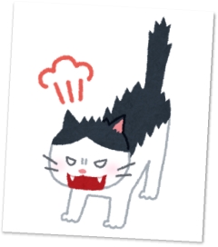 cat_angry