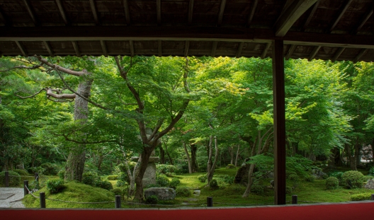 ÆüËÜÄí±à ÆüËÜÄí±à