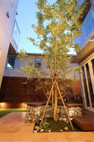 ���ӥ���