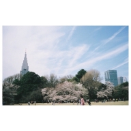 blog1