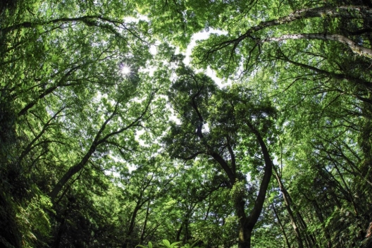 fullsizeoutput_17ef-1024x682 fullsizeoutput_17ef-1024x682