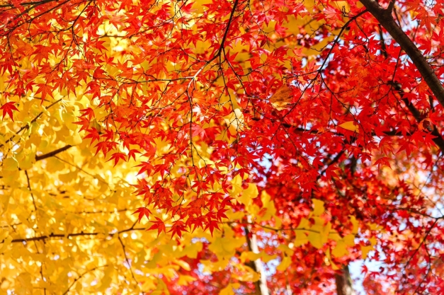 S__124379165 S__124379165