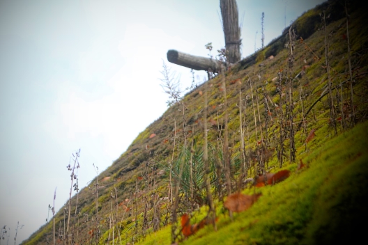 af8a2bee-38ea-49ba-bb5c-eed436954960 af8a2bee-38ea-49ba-bb5c-eed436954960