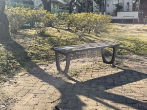 S__124862467