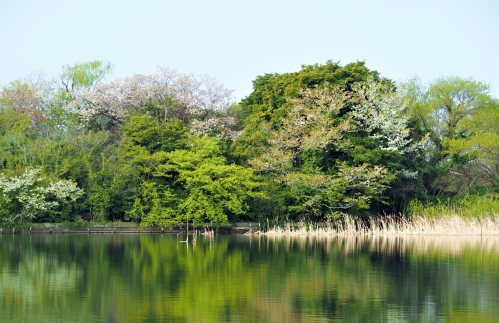 af8a2bee-38ea-49ba-bb5c-eed436954960 af8a2bee-38ea-49ba-bb5c-eed436954960