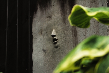 13e18a2b-6b2d-42c4-8036-e2e2a5413986 13e18a2b-6b2d-42c4-8036-e2e2a5413986