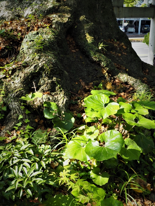 af8a2bee-38ea-49ba-bb5c-eed436954960 af8a2bee-38ea-49ba-bb5c-eed436954960