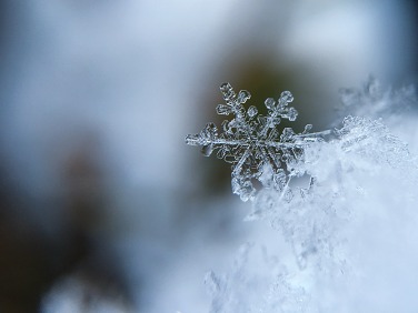 aaron-burden-5AiWn2U10cw-unsplash aaron-burden-5AiWn2U10cw-unsplash