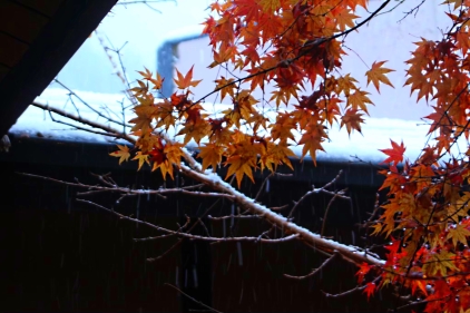 f4297772-6845-44a7-9259-a9c48fc7279b f4297772-6845-44a7-9259-a9c48fc7279b