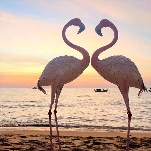 kamil-pietrzak-joU9Z4QceYA-unsplash