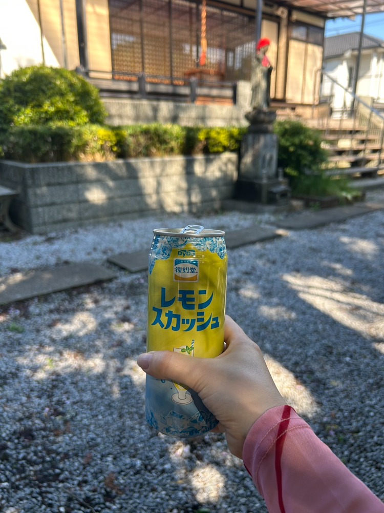 NiwaNaviPopupImage