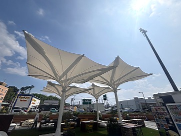 S__101457931_0