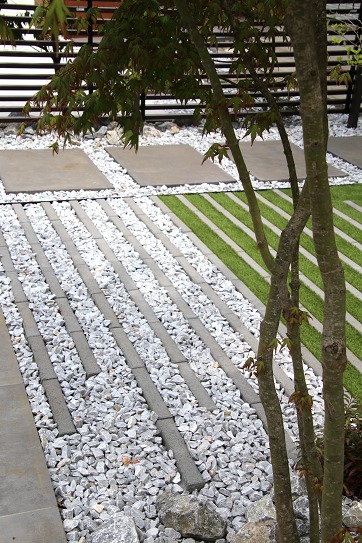 イロハモミジ イロハモミジ