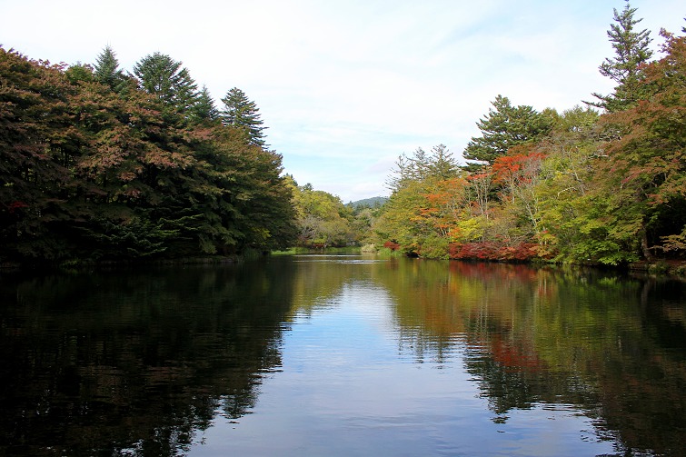 IMG_5813.JPG IMG_5813.JPG