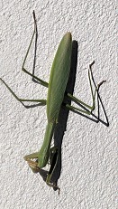 PXL_20251124_032722639