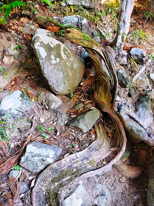 IMG20251230135748 1 IMG20251230135748 1