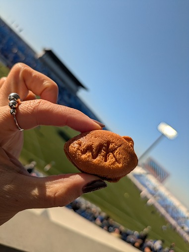 PXL_20260110_045611521 PXL_20260110_045611521