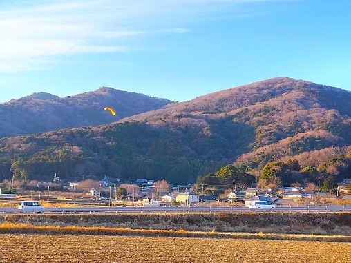 23816_0 - コピー 23816_0 - コピー