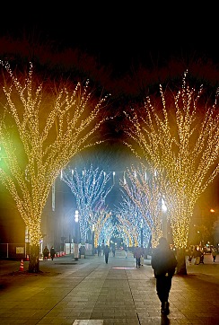 S__105439240 S__105439240