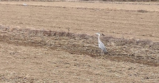 24872_0 - コピー 24872_0 - コピー