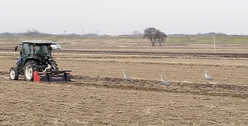 24875_0 - コピー 24875_0 - コピー