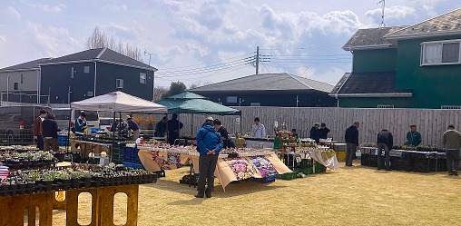 IMG_0806 1 IMG_0806 1