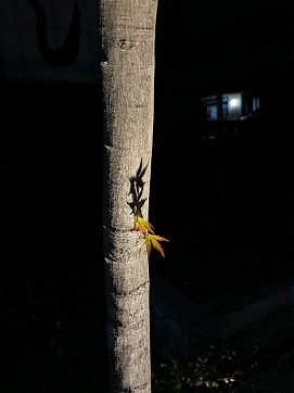 55CB6A6E-1B1B-4DE8-BC2A-DDC7101F21AE