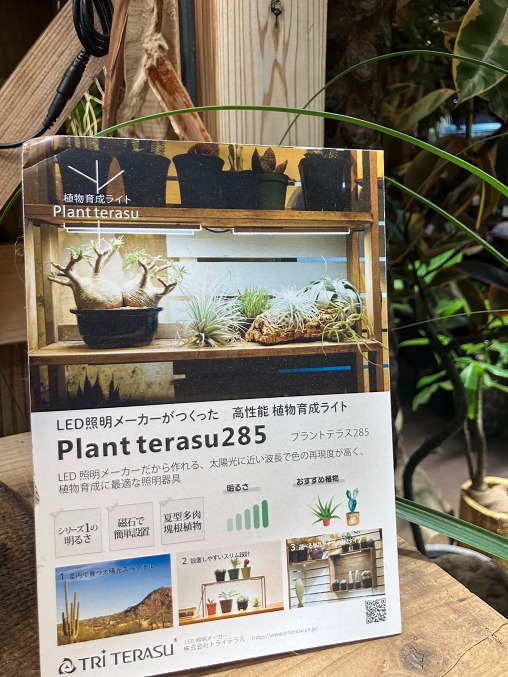 LEDイメージ LEDイメージ