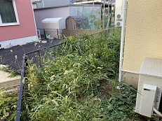 before before